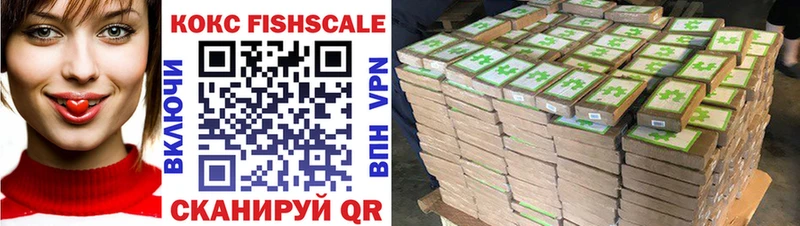 Cocaine Fish Scale  как найти закладки  MEGA рабочий сайт  Судак 