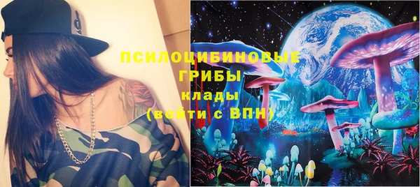 мяу мяу мука Арсеньев