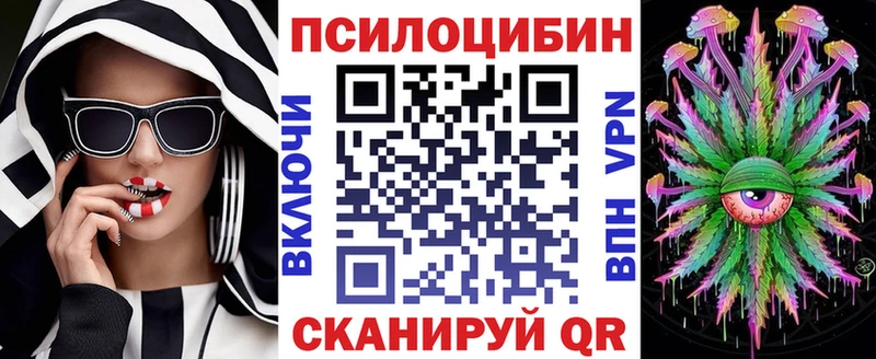 Псилоцибиновые грибы Psilocybe  Судак 